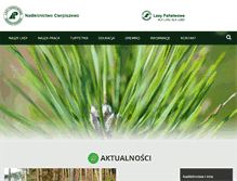 Tablet Screenshot of cierpiszewo.torun.lasy.gov.pl